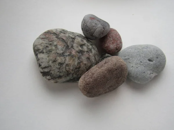 Deniz tabanındaki taşlar.