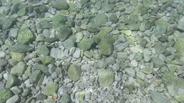 Taşlar ile deniz suyu temizleyin. Sakin pürüzsüz deniz. Yaz dinlenme. Hırvatistan Adriyatik Denizi.