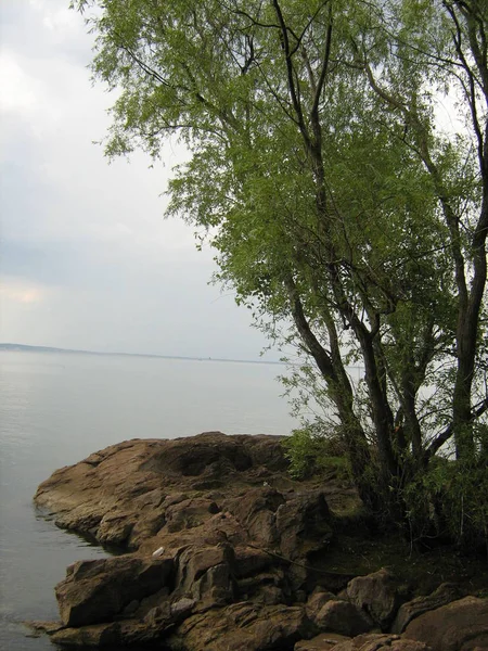 Steinigen Ufer Des Flusses Riesige Steine Und Bäume Ruhiges Wasser — Stockfoto