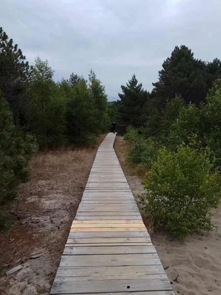 Ahşap döşeme. Yaz sıcak gün. Yolculuk.