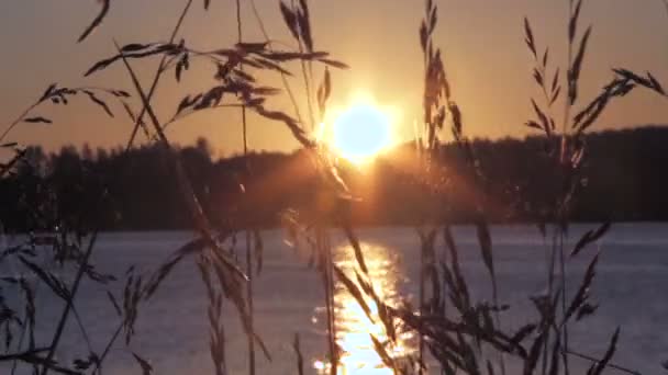 Wschód Słońca Rano Gorące Słońce Nad Rzeką Spania — Wideo stockowe