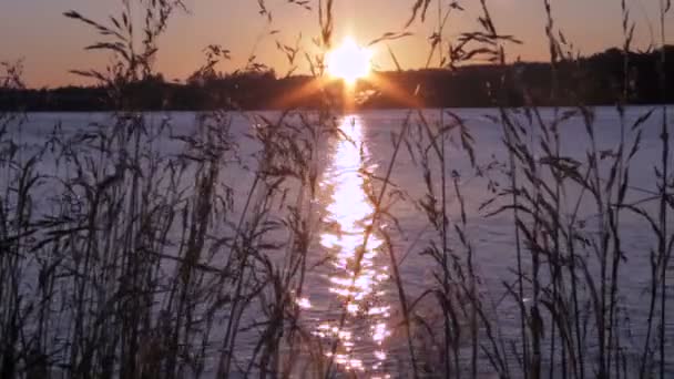 Manhã Sol Nascer Sol Quente Sobre Rio Dormindo — Vídeo de Stock