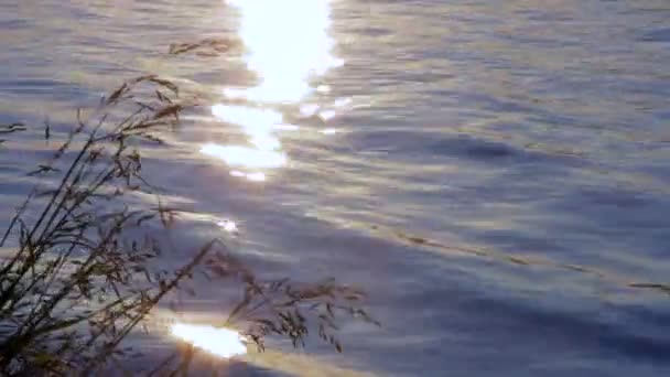 Ranní Svítání Horké Slunce Nad Řekou Spící — Stock video