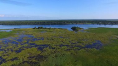 Güzel yaz nehir manzara kuş uçuş yükseklikten