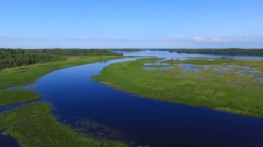 Güzel yaz nehir manzara kuş uçuş yükseklikten