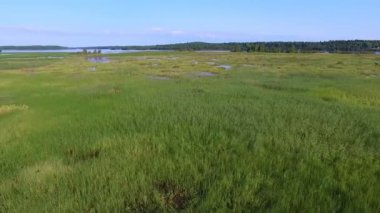 Güzel yaz nehir manzara kuş uçuş yükseklikten