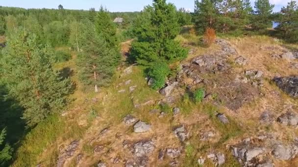 Beau Paysage Rivière Été Hauteur Vol Oiseau — Video