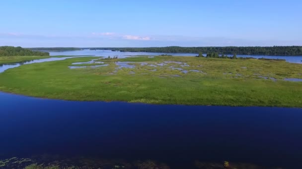 Beautiful Summer River Landscape Height Bird Flight — Stock Video