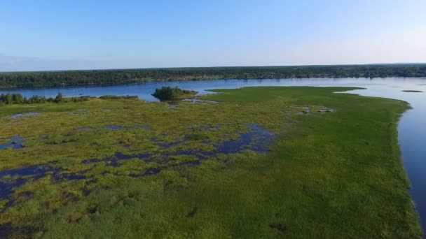 Vacker Sommar Floden Landskap Från Höjden Fågelflyg — Stockvideo