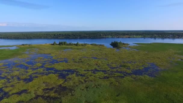 Красивый Летний Речной Пейзаж Высоты Птичьего Полета — стоковое видео