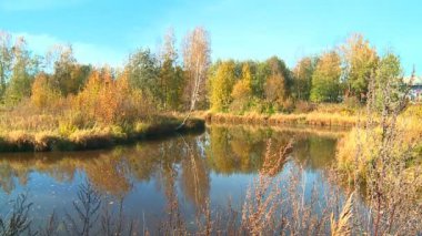 Parlak sarı ve kırmızı boya sonbahar parkta bırakır.