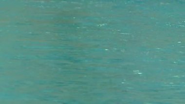 Genç sporcular yüzme havuz açık mavi su üzerinde rekabet.