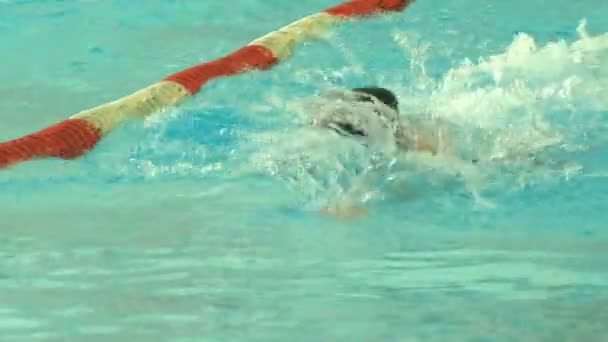 Молодые Спортсмены Соревнуются Плавании Чистой Голубой Воде Бассейна — стоковое видео
