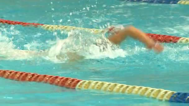 Jonge Atleten Concurreren Het Zwemmen Het Helderblauwe Water Van Het — Stockvideo