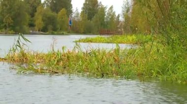 Nehir kıyısında yaşayan insanlar evler ve diğer binalar inşa.