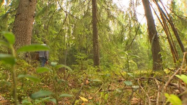 Herbsttag Pilzsammler Spaziert Durch Den Wald Und Sammelt Pilze Einem — Stockvideo