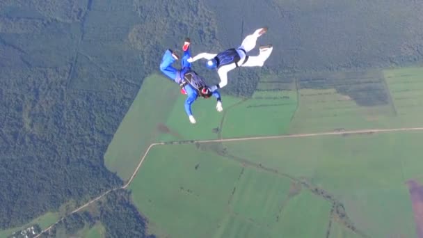 Día Soleado Verano Los Atletas Paracaidistas Muestran Actuaciones Cielo — Vídeo de stock