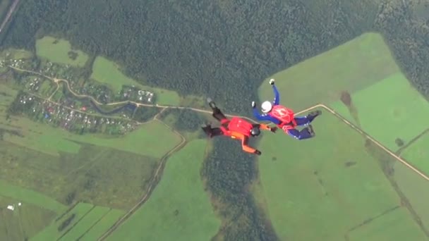 在一个阳光明媚的夏日里 跳伞运动员在天空中表演 — 图库视频影像