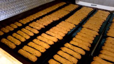 Buğday unu kuru üzüm ile yapılan lezzetli Peksimet üretim Konveyör Fırın depoya taşımak.