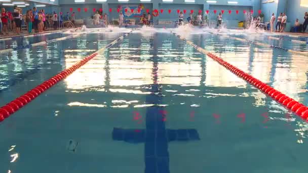 Swimming Competitions Pool Young Athletes Compete Clear Blue Water — Stock Video