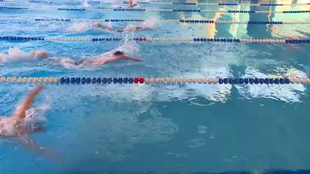 Swimming Competitions Pool Young Athletes Compete Clear Blue Water — Stock Video