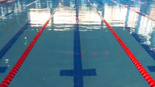 Simtävlingar Poolen Unga Idrottare Tävlar Klarblått Vatten — Stockvideo