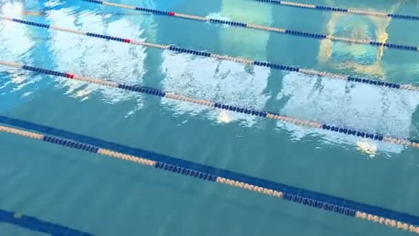 Swimming Competitions Pool Young Athletes Compete Clear Blue Water — Stock Video