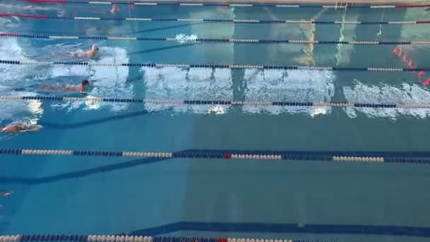 Swimming Competitions Pool Young Athletes Compete Clear Blue Water — Stock Video