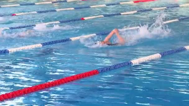 Swimming Competitions Pool Young Athletes Compete Clear Blue Water — Stock Video