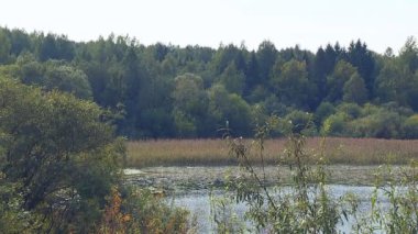 Bir yaz gününde ormanları ile kaplı bankalar geçmiş Nehir suları telaşsız geçerli taşır.
