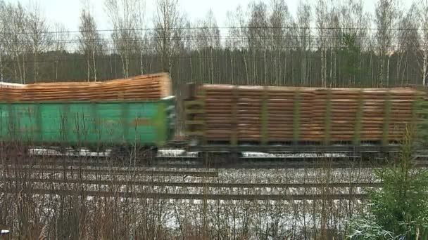 Codzienne Życie Rosyjskiego Przemysłu Kolejowego — Wideo stockowe