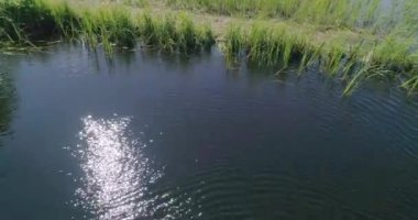 Rus manzaraları. Bir yaz günü bir kuadrokopterle çekilen güzel yaz manzaraları. Orman gölü ve çam ormanı var. Bir kuşun gözünden..