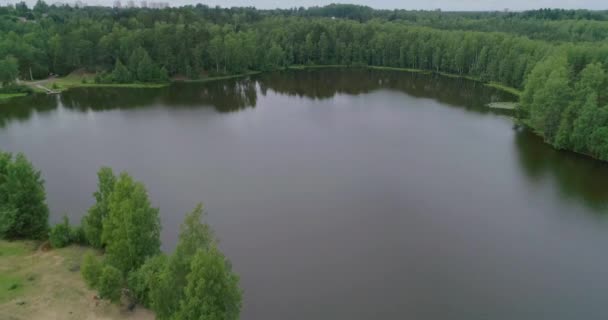 ロシアの風景 夏の日に四分儀で撮影された夏の風景の美しい景色 森の湖と周りの松林 鳥の目線で — ストック動画