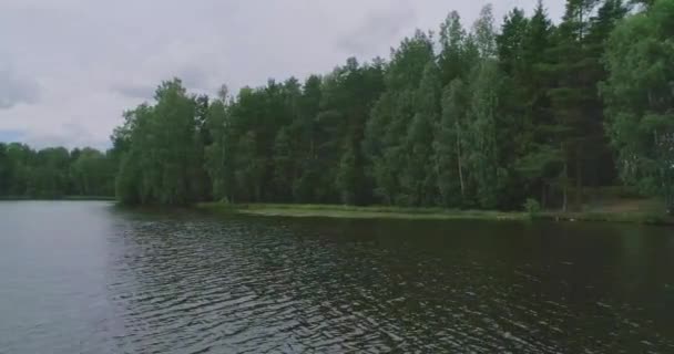 ロシアの風景 夏の日に四分儀で撮影された夏の風景の美しい景色 森の湖と周りの松林 鳥の目線で — ストック動画