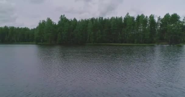 ロシアの風景 夏の日に四分儀で撮影された夏の風景の美しい景色 森の湖と周りの松林 鳥の目線で — ストック動画