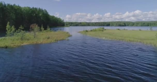 ロシアの風景 夏の日に四分儀で撮影された夏の風景の美しい景色 森の湖と周りの松林 鳥の目線で — ストック動画