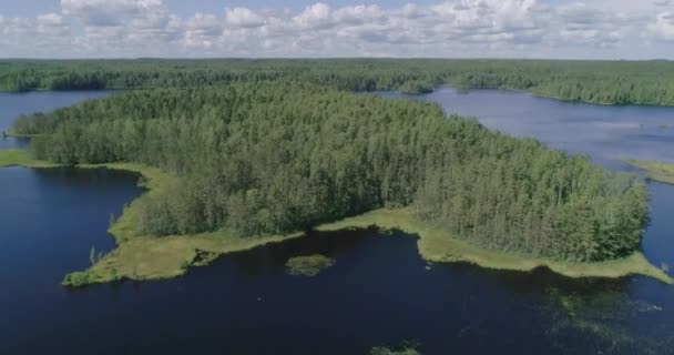 Ryska Landskap Vacker Utsikt Över Sommarlandskap Tas Med Quadrocopter Sommardag — Stockvideo