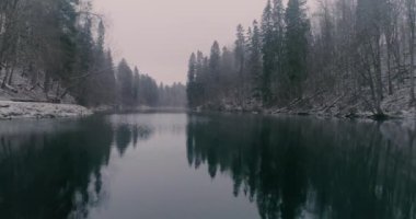 Sabahın erken saatlerinde, bir kış ormanı nehrinin sakin suları..