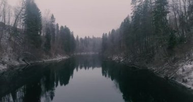 Sabahın erken saatlerinde, bir kış ormanı nehrinin sakin suları..