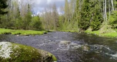 Ormanın ortasında, köknar ve çamların gövdeleri arasında, isimsiz küçük bir nehrin hızlı suları akar..