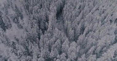 Soğuk bir kış sabahı şafakta, hava bile soğuktan donar, zaman donar ve yakında güneşin doğmasını bekler..