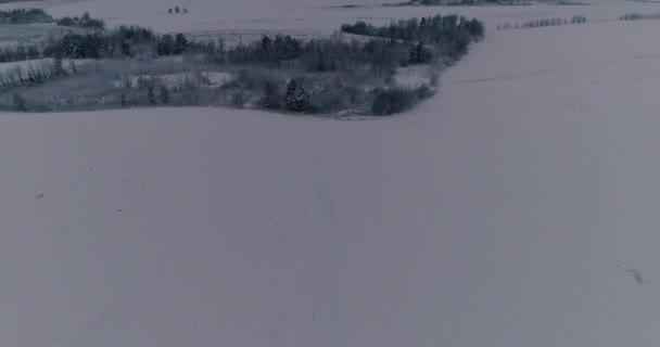 Bij Zonsopgang Een Koude Winterochtend Bevriest Zelfs Lucht Van Kou — Stockvideo