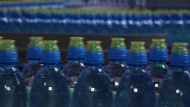 Saf maden suyu plastik şişelerde saklanır ve markete sevkiyat için hazırlanır..