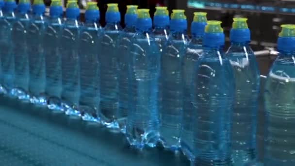 Saf Maden Suyu Plastik Şişelerde Saklanır Markete Sevkiyat Için Hazırlanır — Stok video