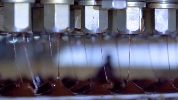 Çikolata Şekerleme Ürünleri Şekerci Dükkanının Konveyöründen Ambalaja Taşınır — Stok video