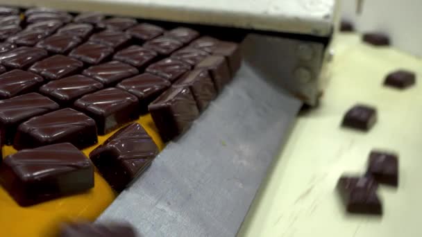 Los Productos Confitería Chocolate Mueven Largo Del Transportador Confitería Hasta — Vídeo de stock