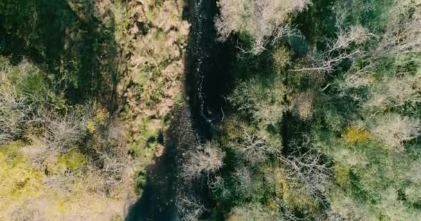 Cañón Pequeño Río Tormentoso Creado Por Naturaleza Durante Decenas Siglos — Vídeos de Stock