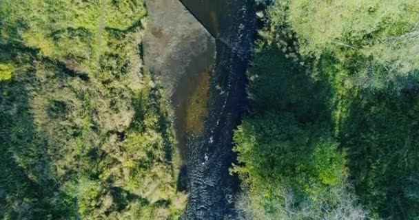 Kanjon Liten Stormig Flod Skapad Naturen Dussintals Århundraden Snabbt Vatten — Stockvideo