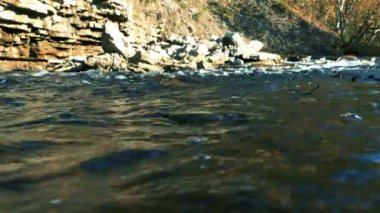 Düzinelerce asırdır doğa tarafından yaratılmış küçük fırtınalı bir nehrin kanyonu. Kayaların ve sonbahar ağaçlarının arka planına karşı hızlı su. Rusya 'nın kuzeybatısının güzel sonbahar manzarası.