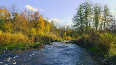 Düzinelerce asırdır doğa tarafından yaratılmış küçük fırtınalı bir nehrin kanyonu. Kayaların ve sonbahar ağaçlarının arka planına karşı hızlı su. Rusya 'nın kuzeybatısının güzel sonbahar manzarası.